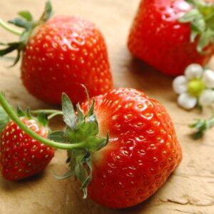 Top 10 Strawberry Origin In China