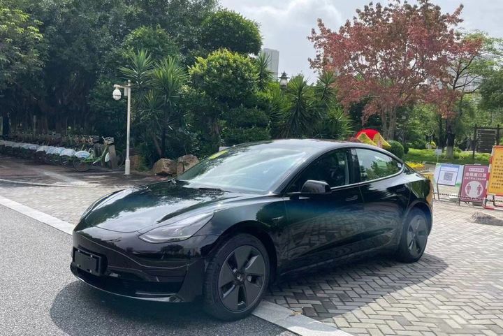 Top 10 New Energy Vehicles in China-model3