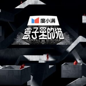 China's Top 10 Variety Shows In 2024-hezilidemao