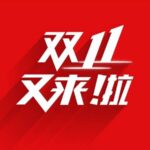The Grand Shopping Festival - Double 11 in China