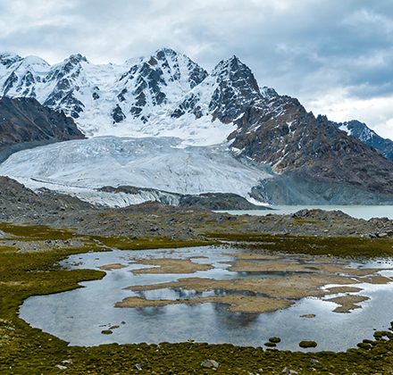 The Tibetan Plateau: The Roof of the World and Its Fragile Ecosystem